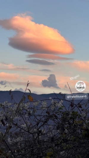 Nel nostro lavoro l’ispirazione è un ingrediente fondamentale.